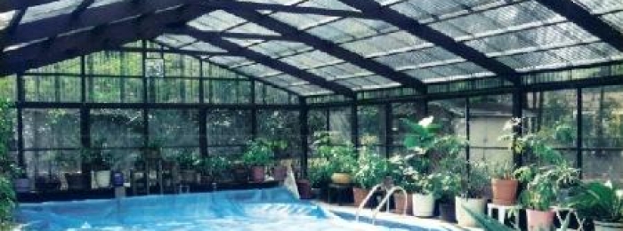 screen pool enclosure, pool cage, pool screen